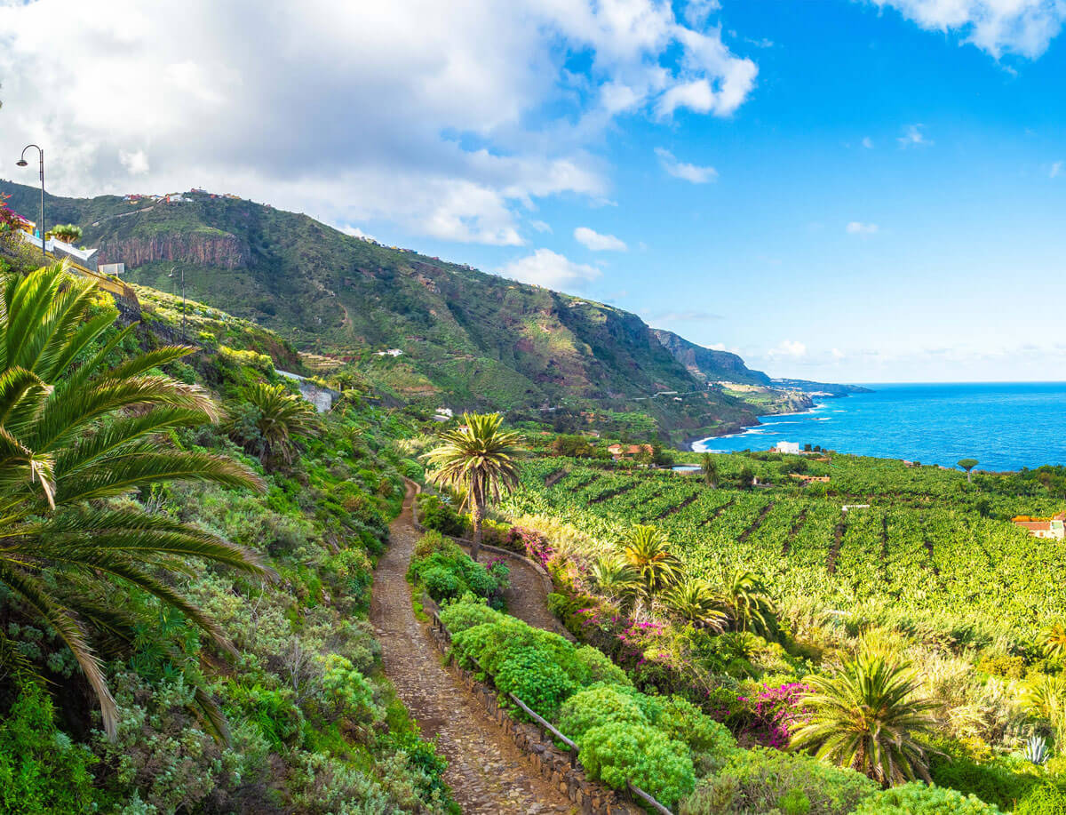 Spacious Enchanting Suite in Tenerife with ocean view.